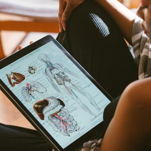 anatomía y fisiología