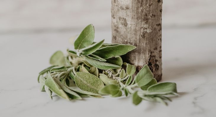 Las plantas medicinales en los trastornos menstruales